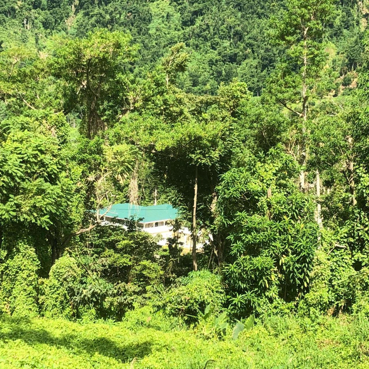 Soufriere Guesthouse Exteriör bild